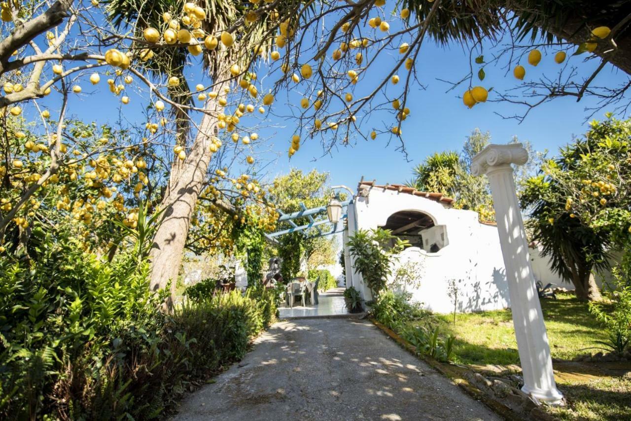 Le Querce Procida