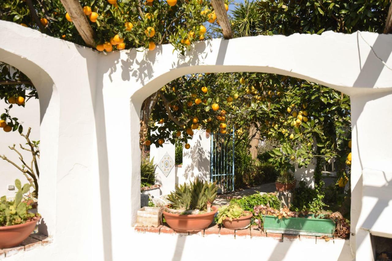 Le Querce Procida