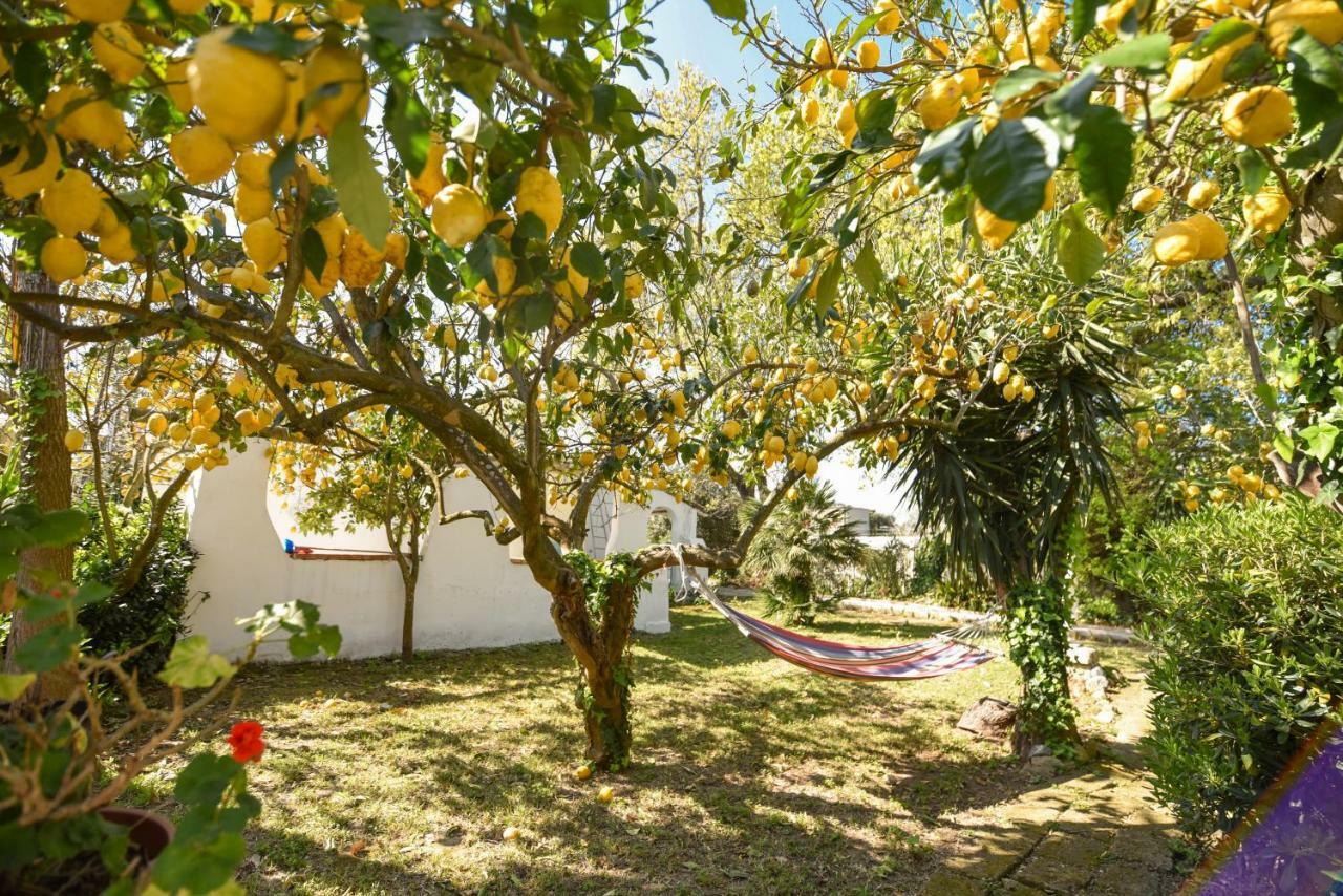 Le Querce * Procida