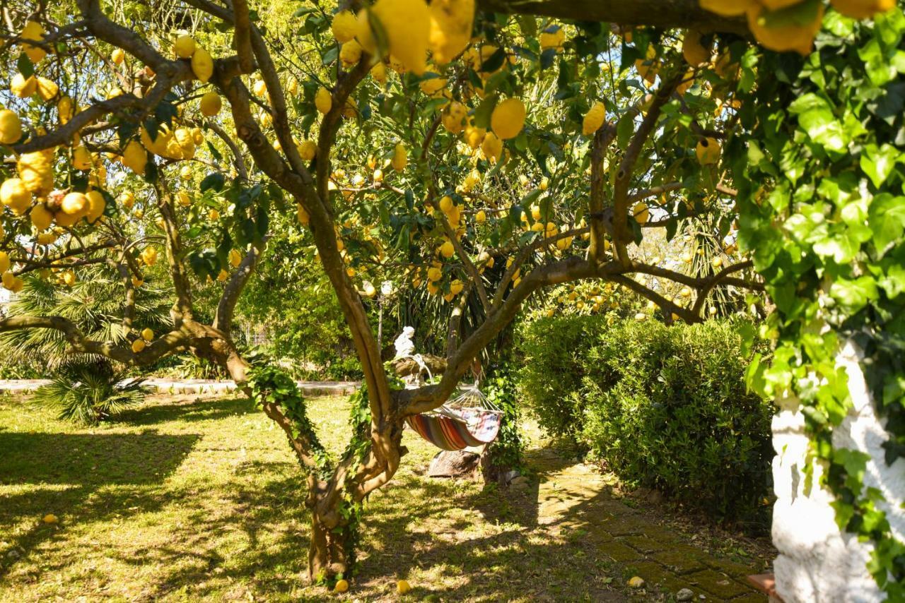 Le Querce Procida